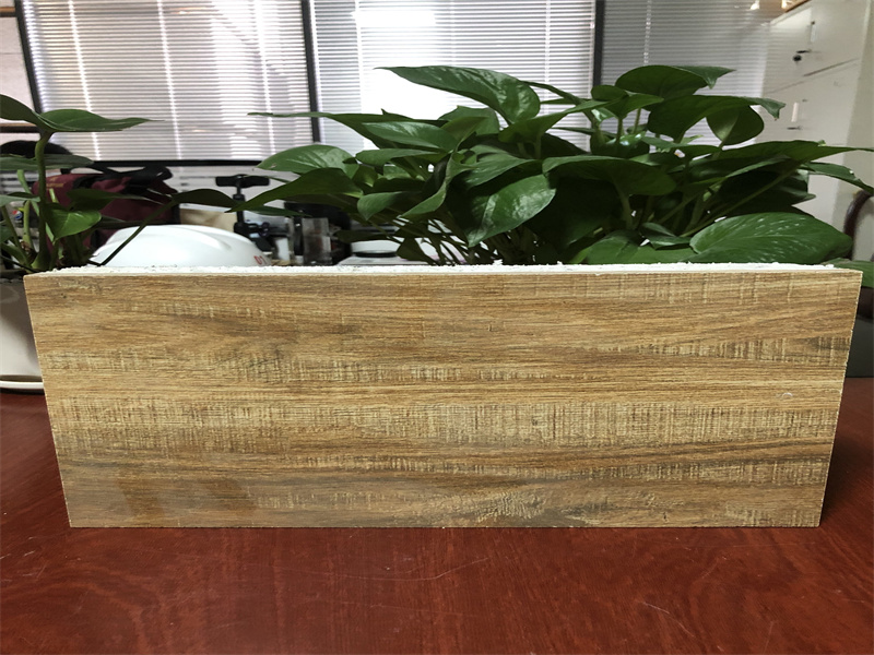 ��̼�ᱣ��һ�w��